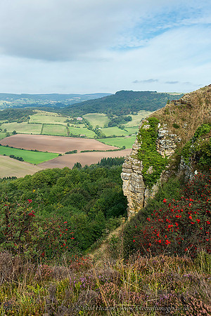 Sutton Bank View (P)