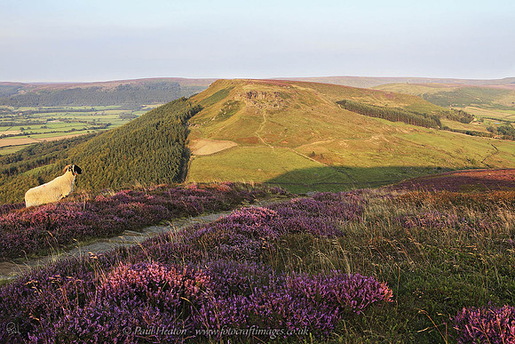 Hasty Bank, North Yorkshire Moors