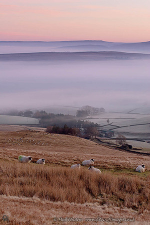 Dawn From The Howgill Fells