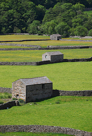 Barns at Gunnerside Bottoms, Swaledale