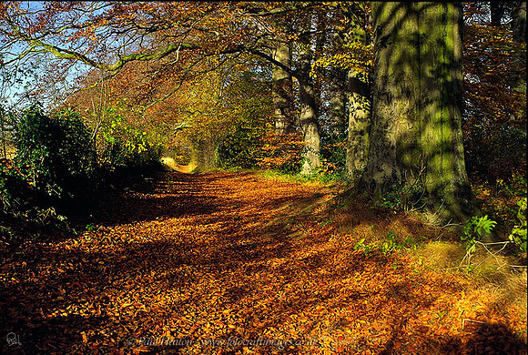 The Riverside Path in Boston Spa