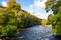 Autumn View of Strid Wood, Wharfedale