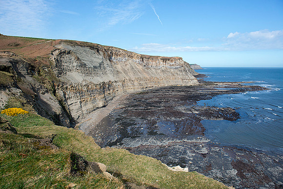 Whitby Cliffs
