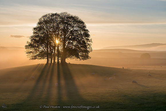 Malham Golden Sunrise (landscape)