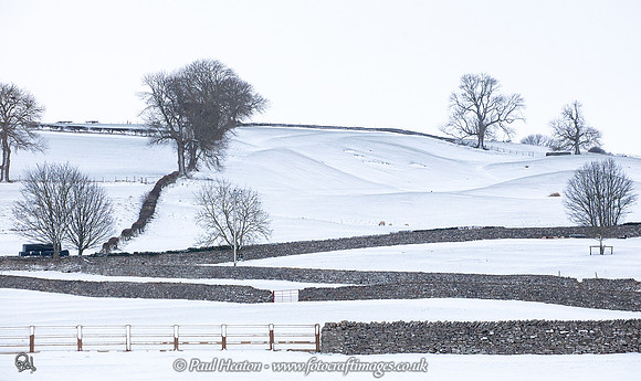 Snowy Fields near Middleham, Wensleydale