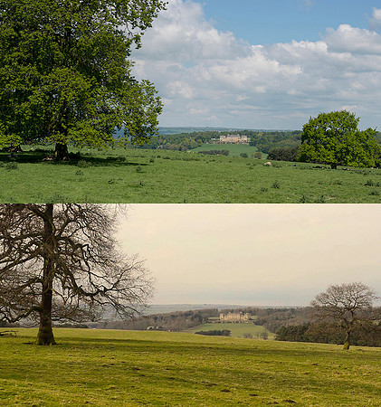 Harewood Carriage Dive - Winter and Spring