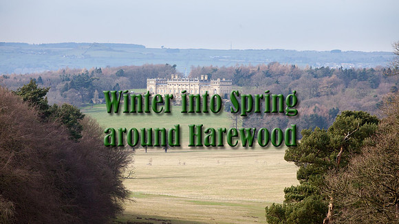 Winter into Spring Around Harewood