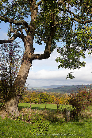 T'wixt Moor and Dale near Ilkley