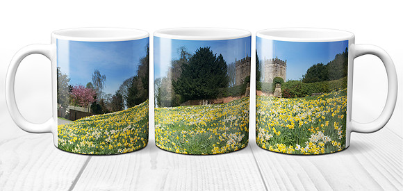 Spring Daffodils at Crayke, North Yorkshire - Ceramic Photo Mug