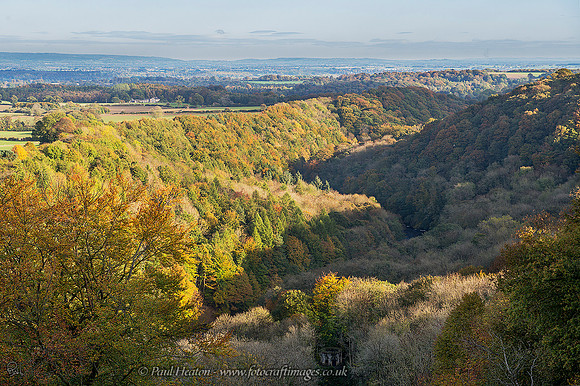 Autumn View of Hackfall