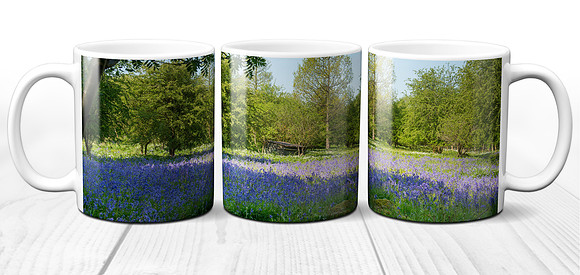 Bluebell Woods in Wharfedale - Yorkshire Dales Ceramic Photo Mug