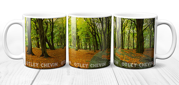 Autumn Beech Woods - Otley Chevin, Wharfedale - Yorkshire Dales Ceramic Photo Mug