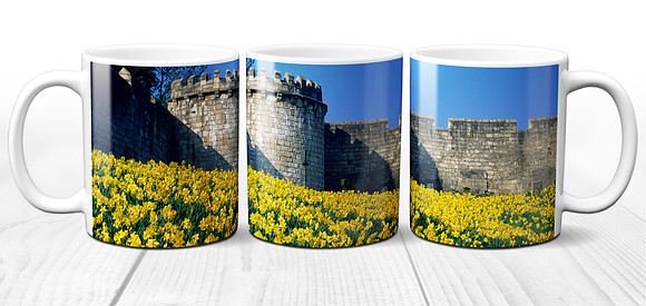 Daffodils Around York City Walls - Yorkshire Ceramic Photo Mug