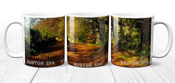 Autumn Beech Leaves - Yorkshire Ceramic Photo Mug