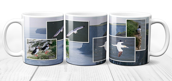British seabirds - Ceramic Photo Mug