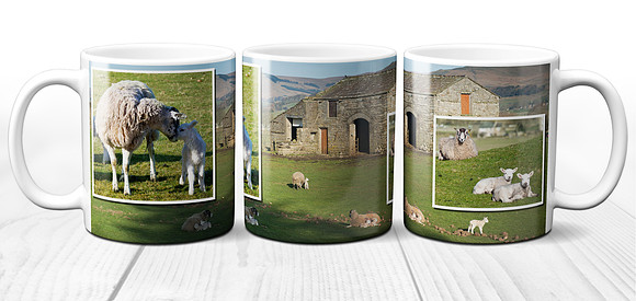 Dales Sheep and Lambs - Yorkshire Dales Ceramic Photo Mug