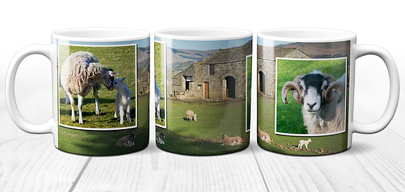 Dales Sheep, Lambs and ram - Yorkshire Dales Ceramic Photo Mug