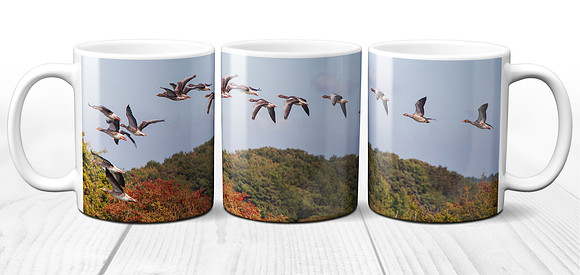 Flying Geese 2 - Ceramic Photo Mug
