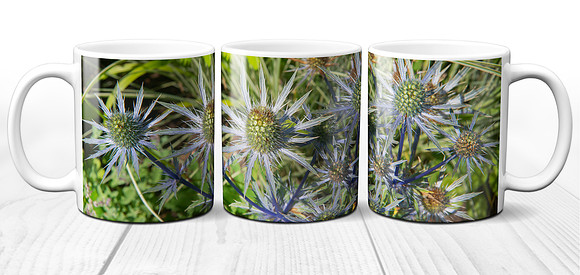 Alpine Sea Holly Flowers - Ceramic Photo Mug