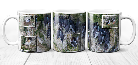 Seabirds at Bempton Cliffs - Yorkshire Coast - Ceramic Photo Mug