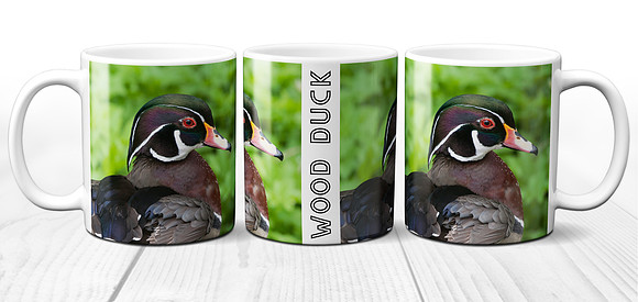 Wood Duck - Ceramic Photo Mug