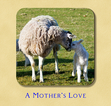 A Mother's Love