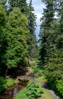 Debdon Burn and Pinetum, Cragside