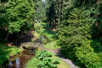 Debdon Burn and Pinetum, Cragside