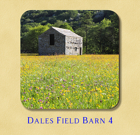 Dales Field Barn 4