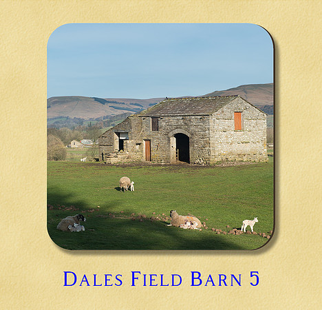 Dales Field Barn 5