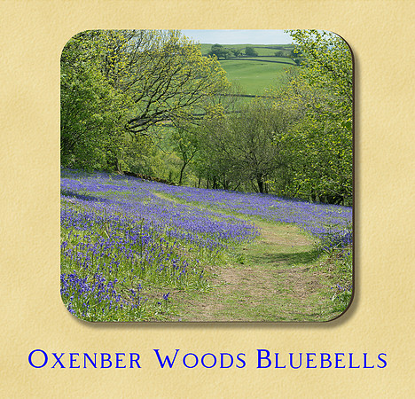 Oxenber Woods, Yorkshire Dales