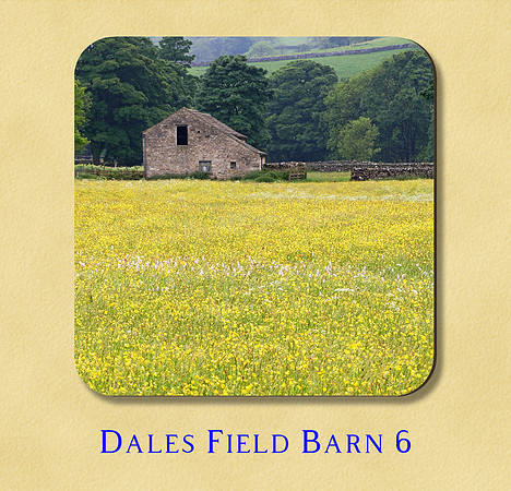 Dales Field Barn 6