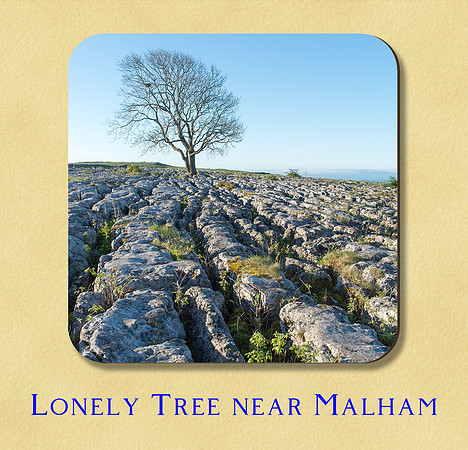 Lonely Tree near Malham