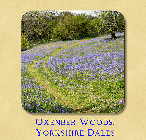 Oxenber Woods, Yorkshire Dales