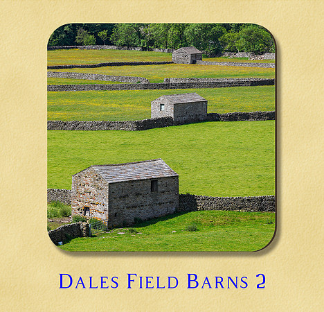 Dales Field Barns 2