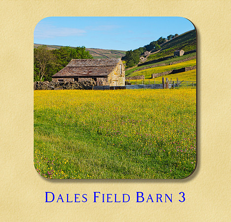 Dales Field Barn 3