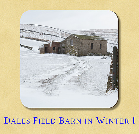 Dales field barn in winter 1