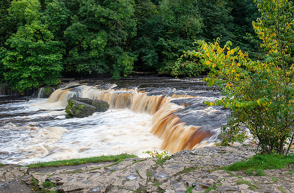 Aysgarth Upper Falls, Wensleydale