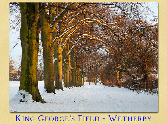 Snowy winter view of King George's Field, Wetherby