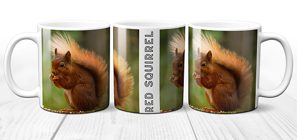 Red Squirrel - Ceramic Photo Mug