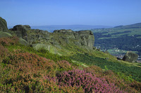Cow and Calf Rocks II