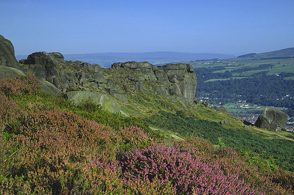 Cow and Calf Rocks II