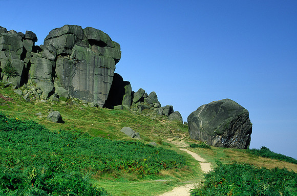 Cow and Calf Rocks I