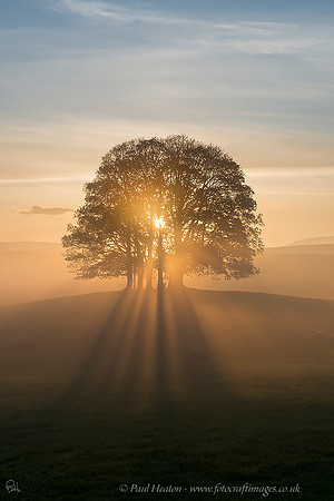 Malham Golden Sunrise (portrait)