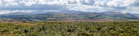 Cheviot panorama