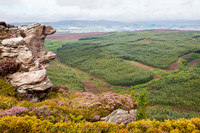 2493 Long Crag